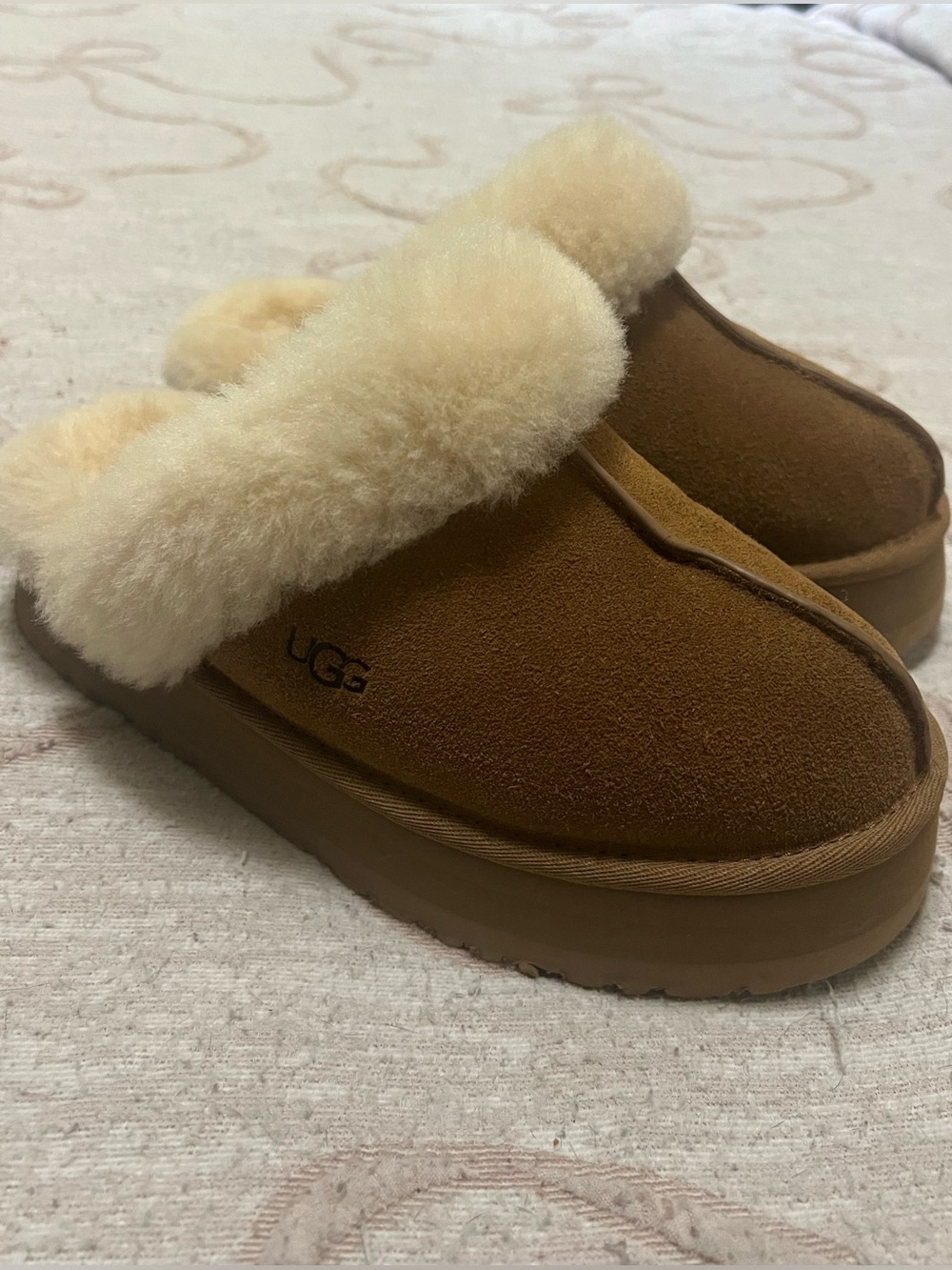Chestnut UGG Disquettes